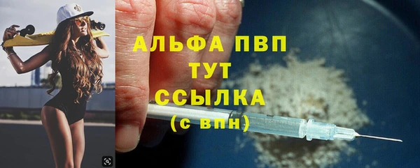 стаф Дмитровск