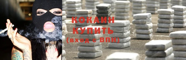 стаф Дмитровск