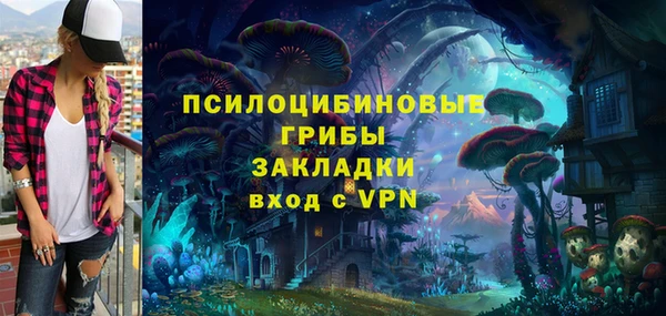 стаф Дмитровск