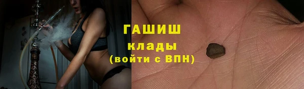 стаф Дмитровск
