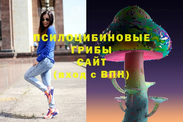 стаф Дмитровск