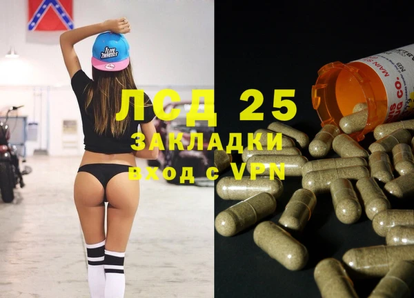 стаф Дмитровск