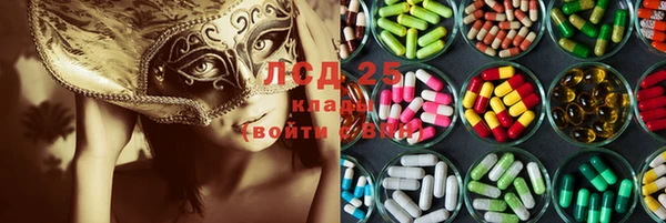 стаф Дмитровск
